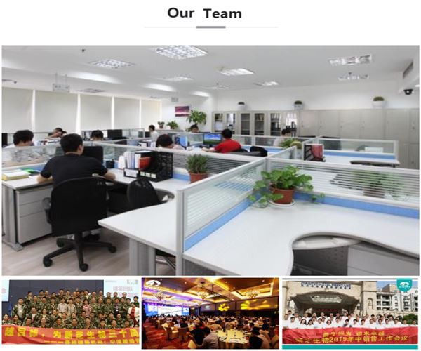 our team_